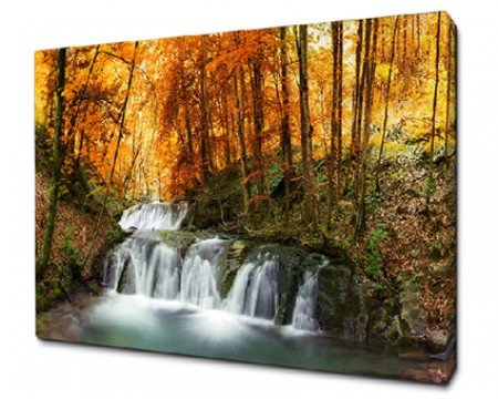 картина на холсте 50х70 п377